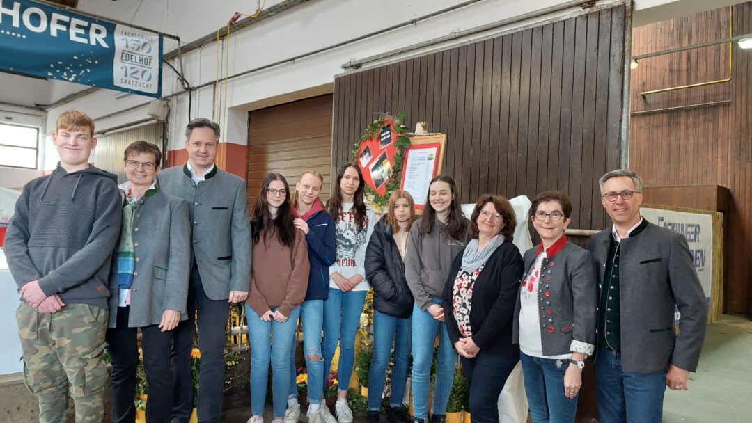 Kuhfrühling in der Tierzuchthalle in Zwettl