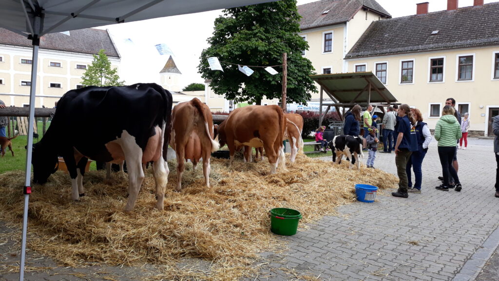 Tag der offenen Tür