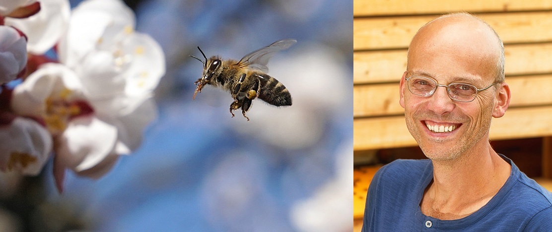 “Gesunde Biene – Die wesensgemäße Bienenhaltung”” (Waldviertler – Bio Gespräche 2023/2024)