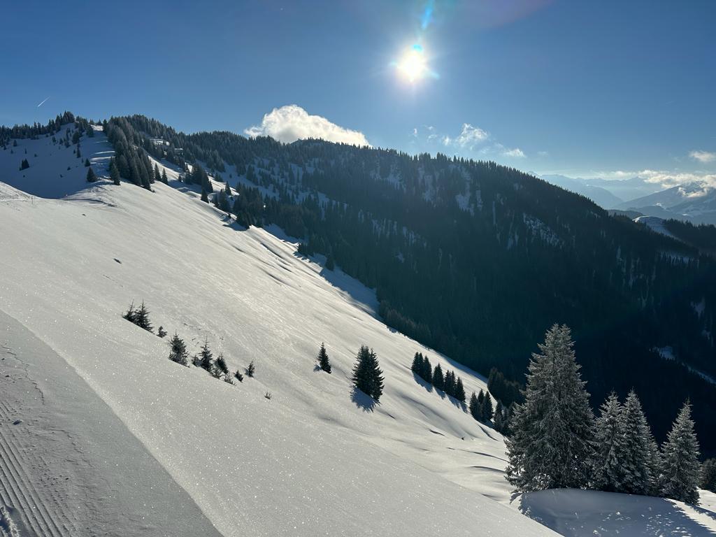 Aus- und Fortbildung im Alpinen Skilauf & Snowboard in Dienten am Hochkönig