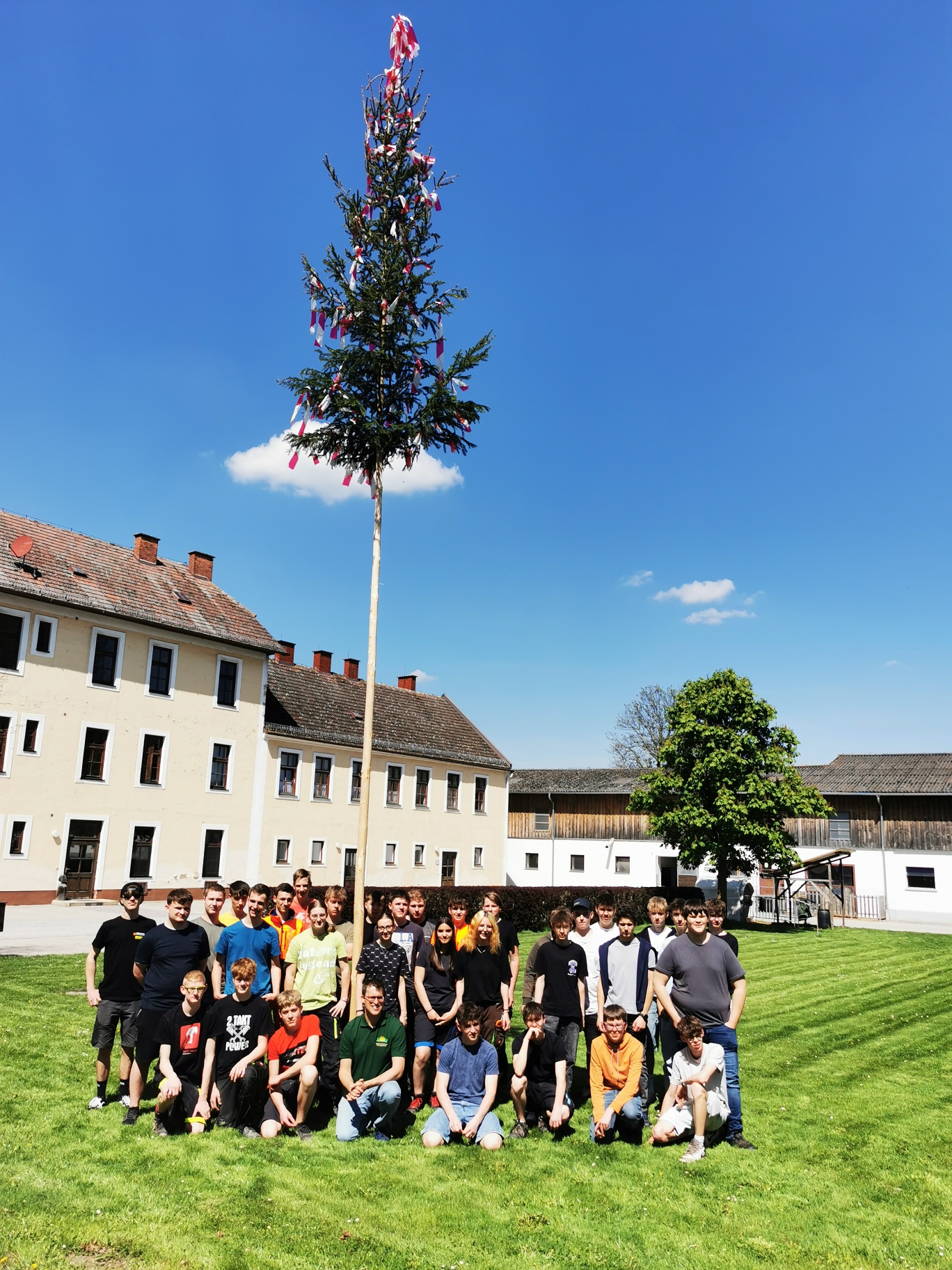 Maibaum aufstellen
