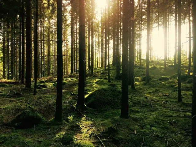 Fachtag Wald und Holz