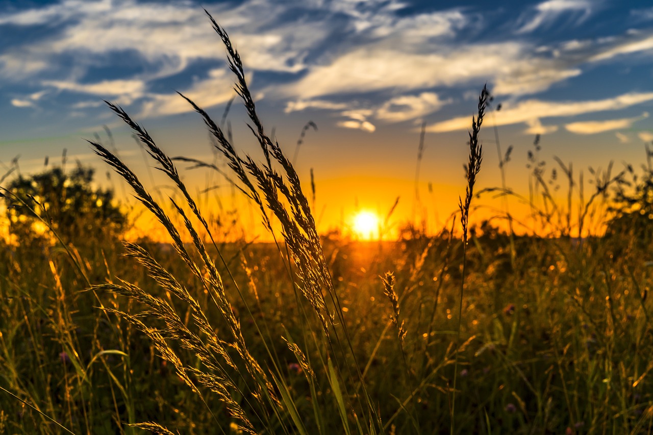 Schöne Sommerferien!
