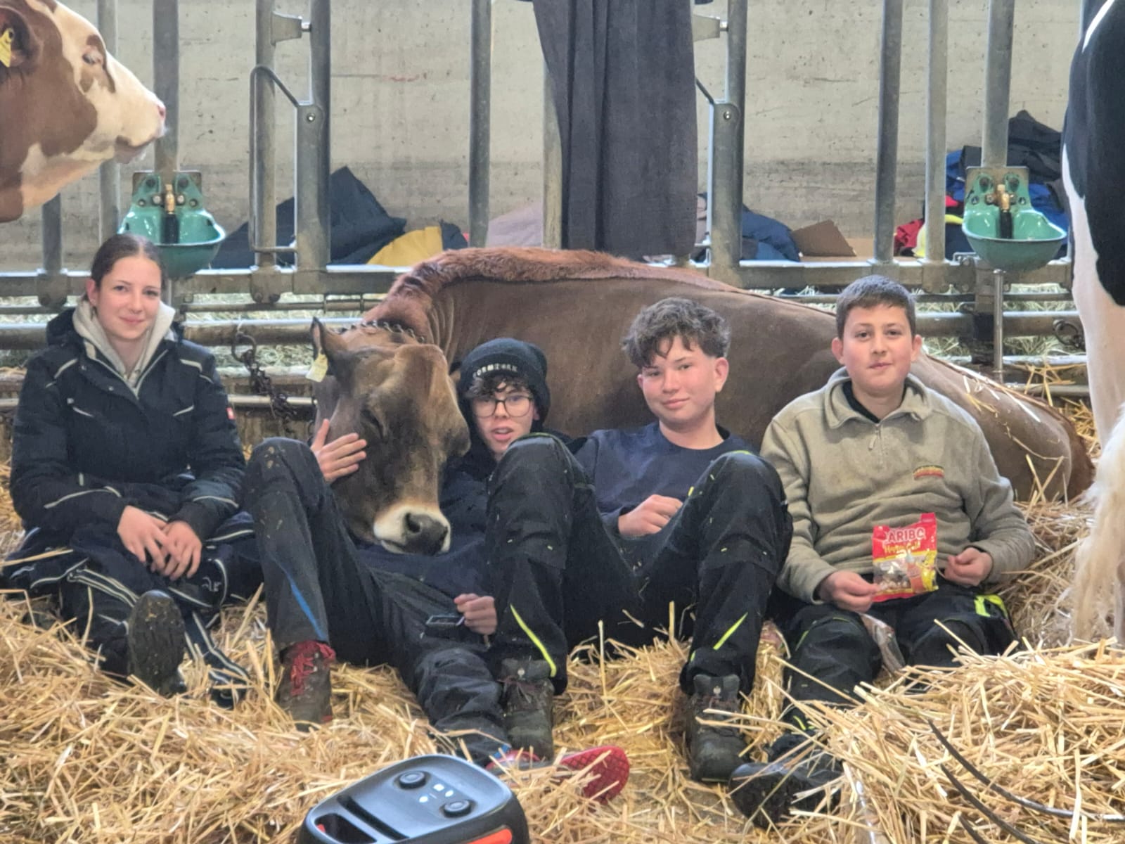 WhatsApp Bild 2025-11-15 um 15.15.07_0550dfb0