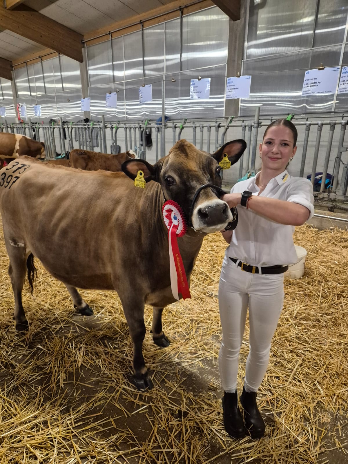 WhatsApp Bild 2025-11-15 um 19.43.04_96f9cf1d