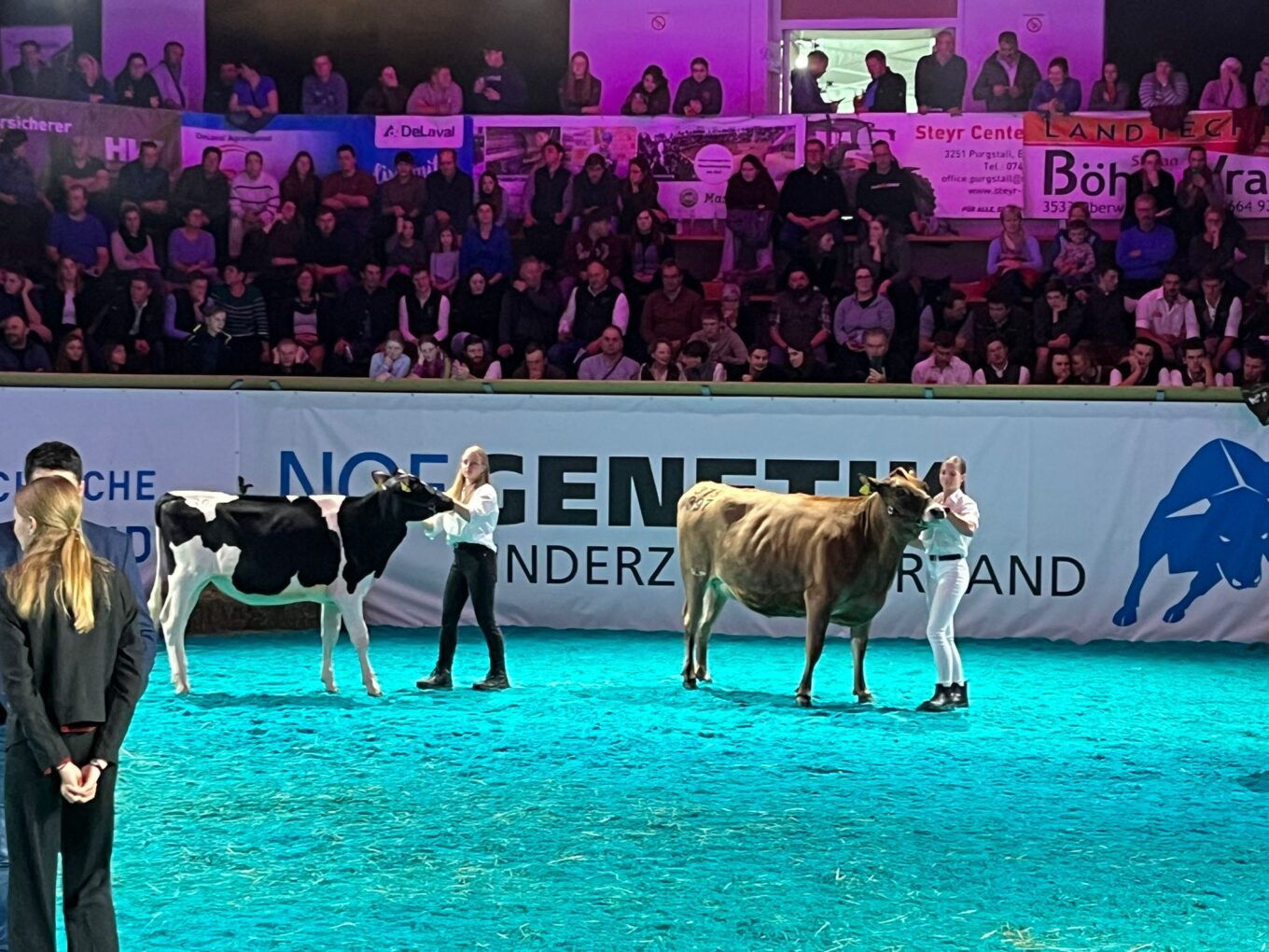 Landesjungzüchterchampionat in der Berglandhalle – 15. November 2025