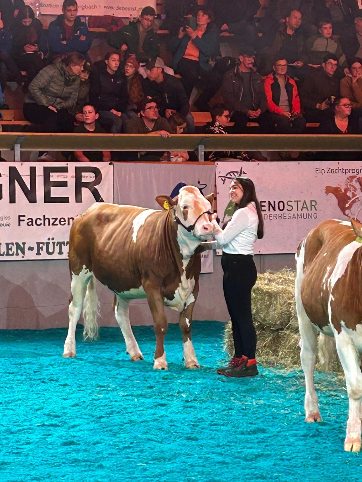 WhatsApp Bild 2025-11-16 um 21.03.19_b7a50e24