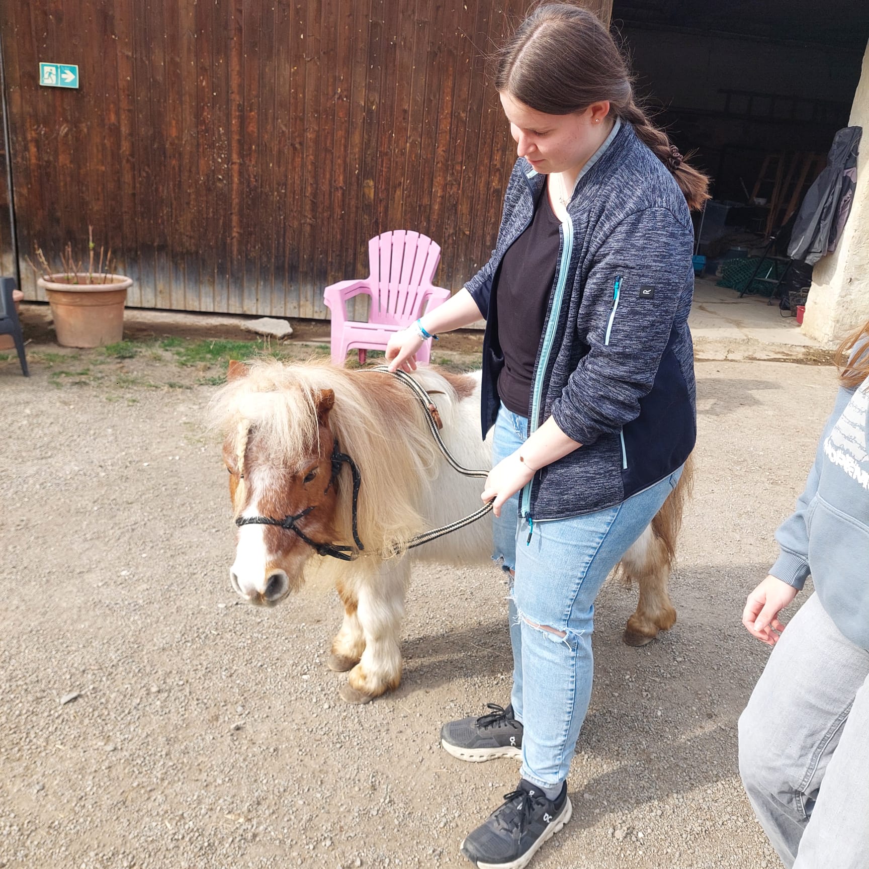 12380cad-10ca-453a-803a-c8ae335cf704 12380cad-10ca-453a-803a-c8ae335cf704