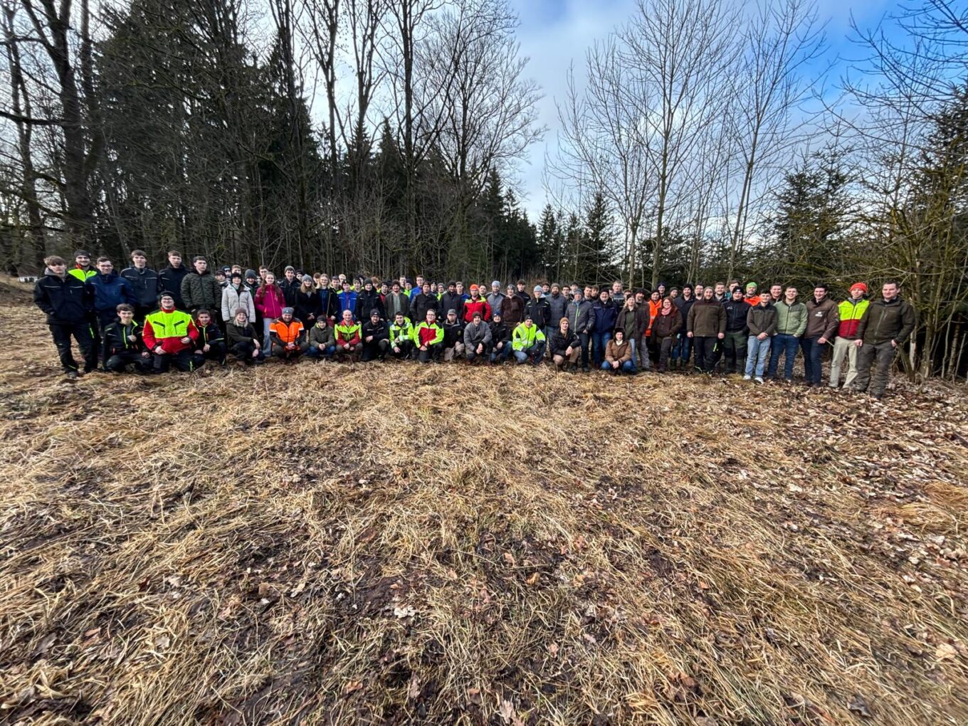 Wertastung sorgt für Holzqualität
