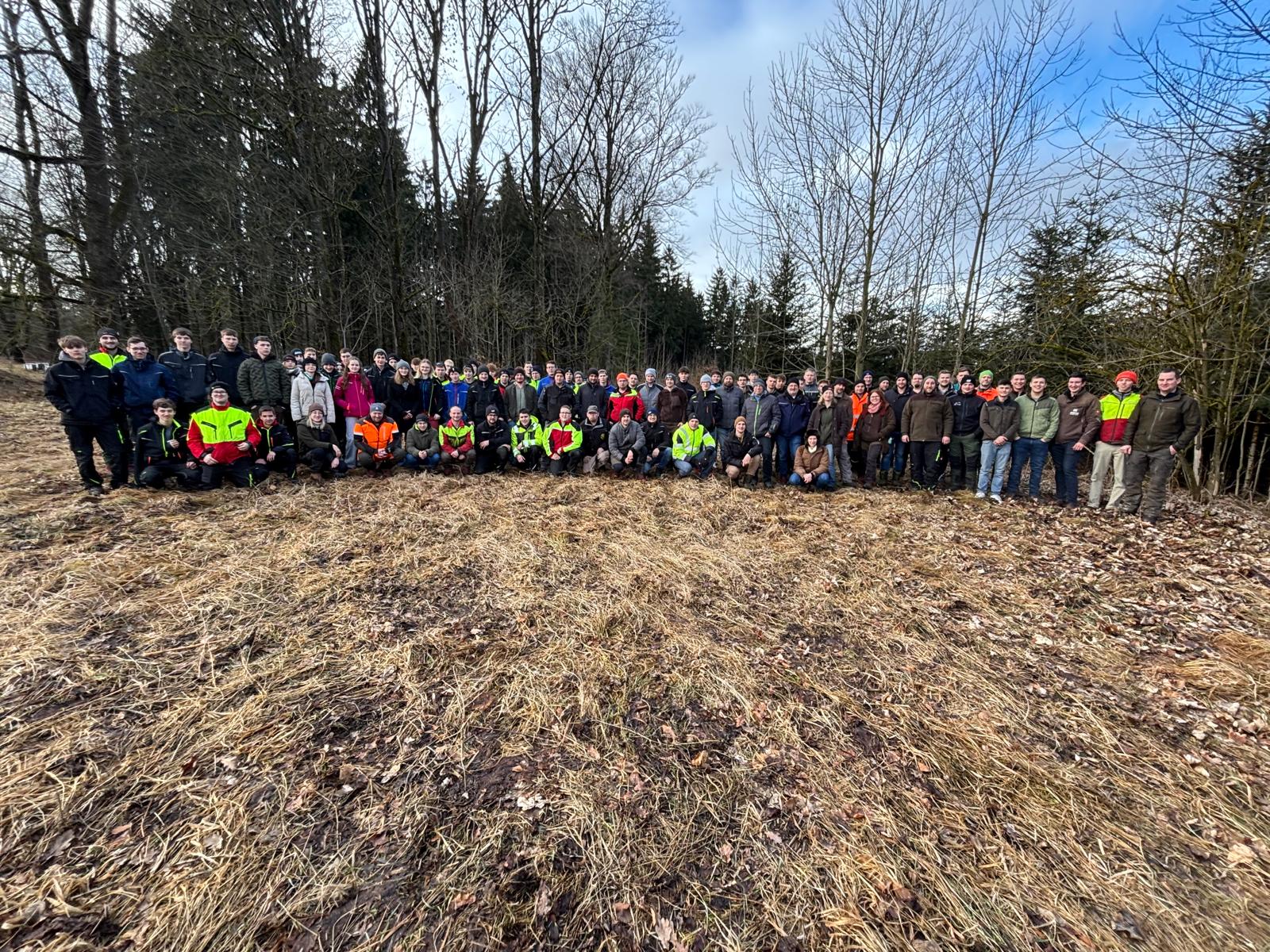 Wertastung sorgt für Holzqualität