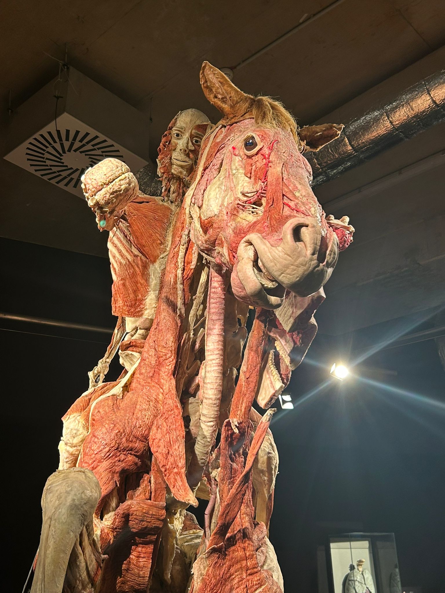 WhatsApp Image 2026-03-16 at 07.55.00 (3) WhatsApp Image 2026-03-16 at 07.55.00 (3)