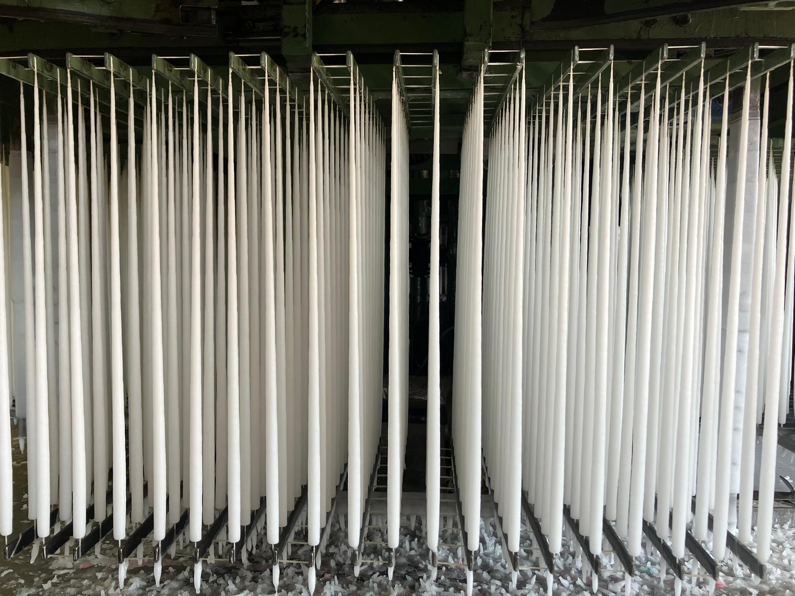 WhatsApp Image 2026-03-23 at 18.48.14 (1)