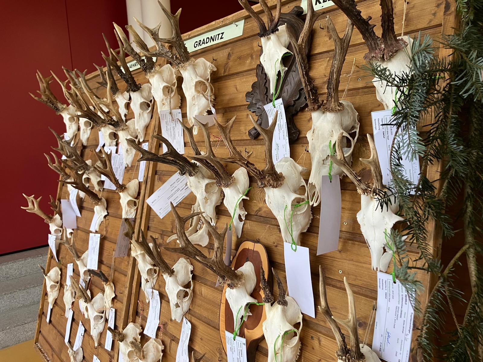 WhatsApp Image 2026-03-23 at 20.21.29 (3)