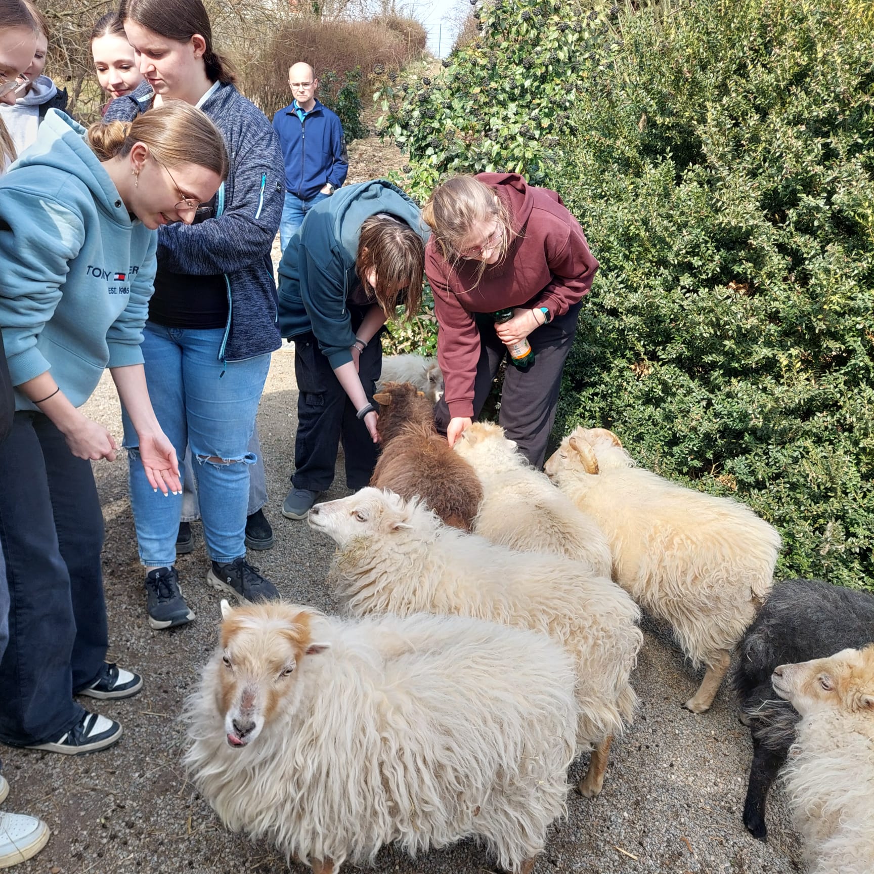 f2405648-a3d2-461e-8775-1f595f5fa11f f2405648-a3d2-461e-8775-1f595f5fa11f