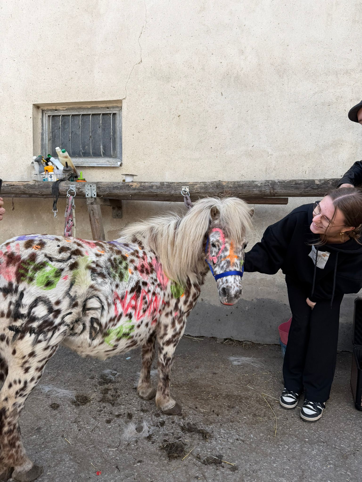 926055ba-2aa5-48ca-a81e-190bba65cdc9