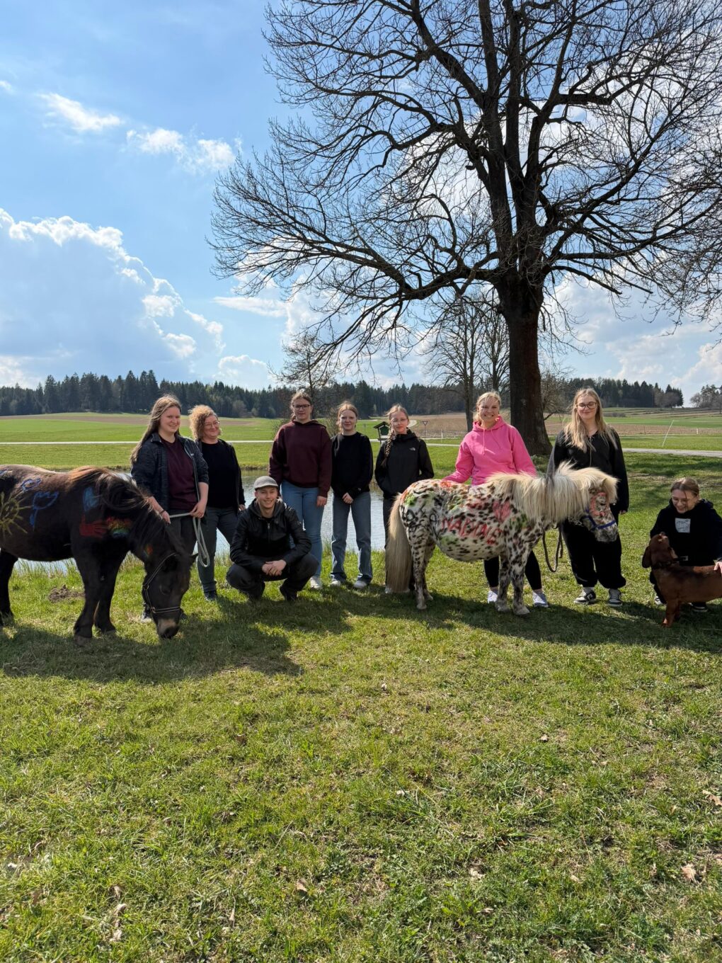 Green Care hautnah: Besuch am Reslhof in St. Wolfgang