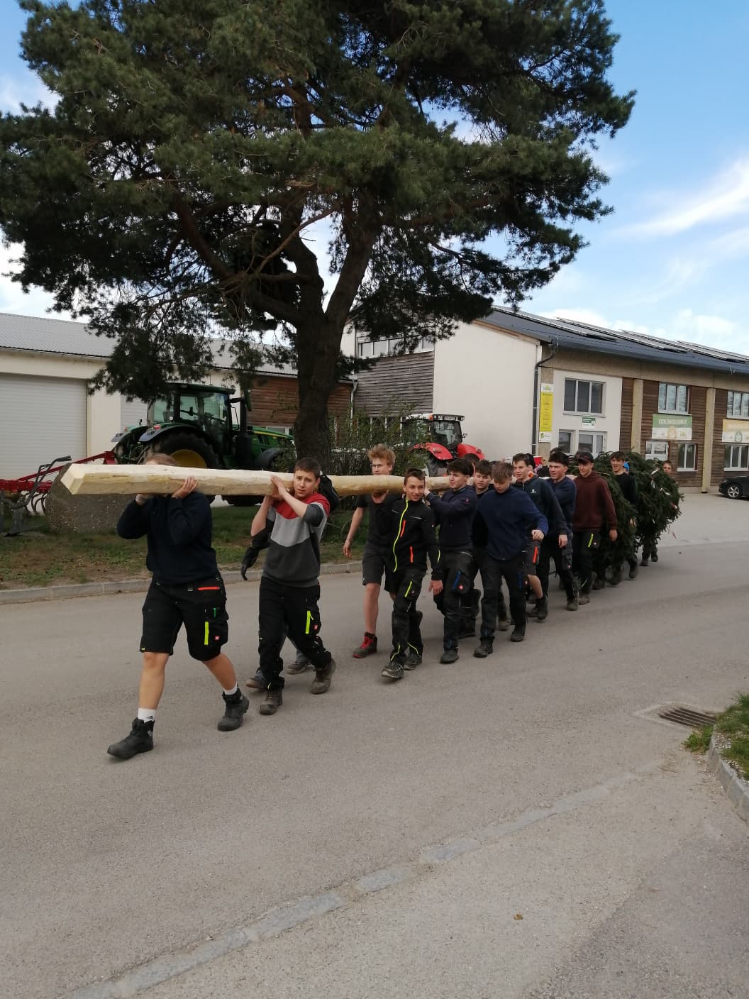 Maibaum_tragen