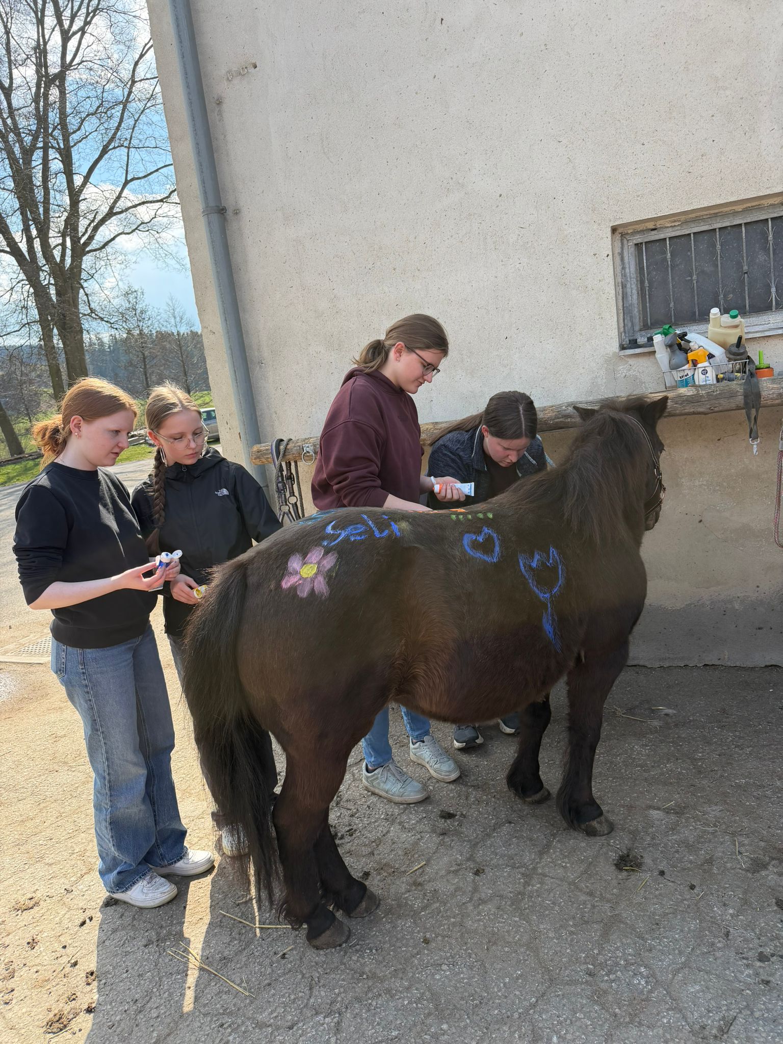 c04db3c6-bb6a-4166-bcf3-9f177644b381