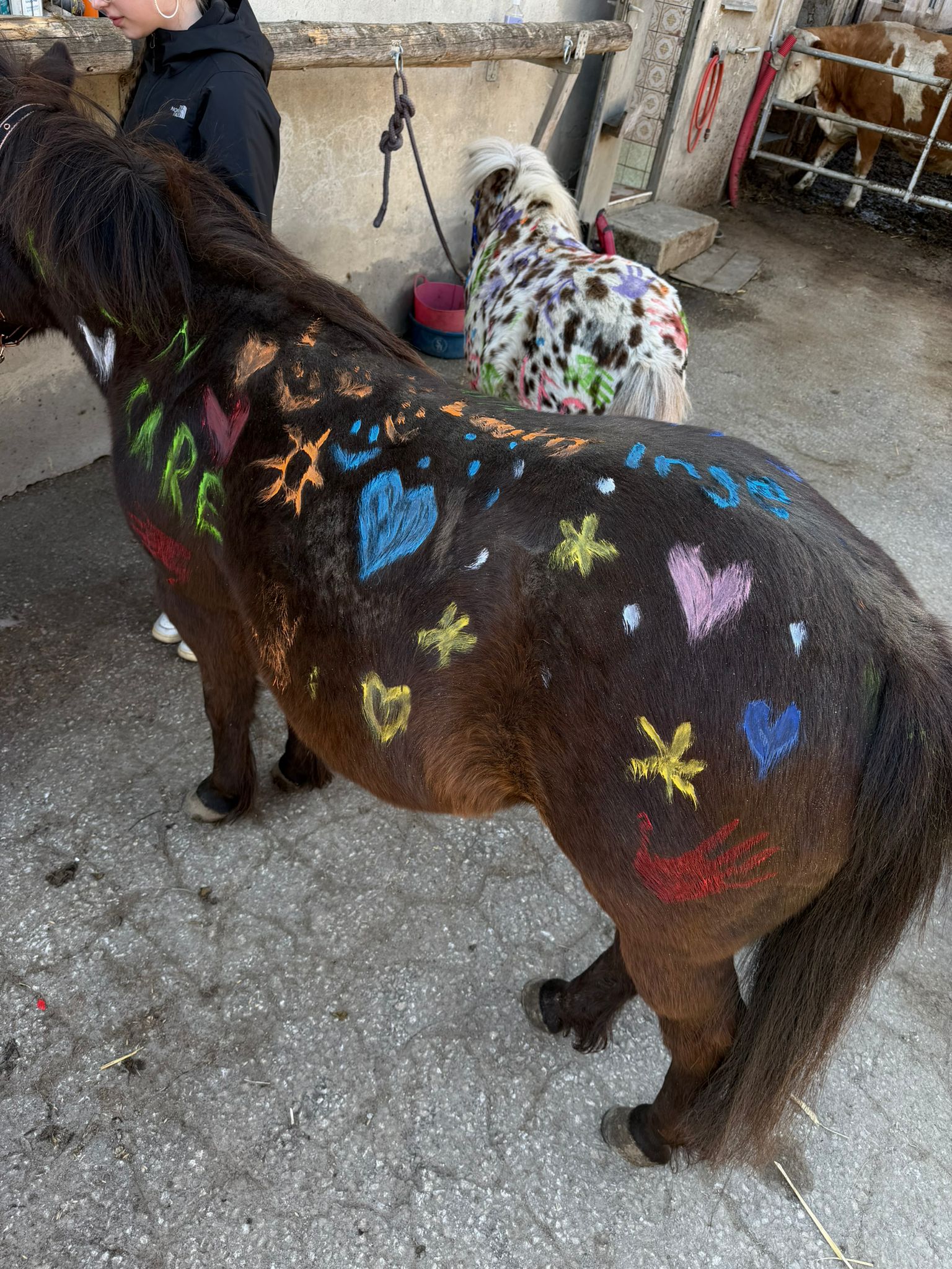 ece5cea5-8080-4257-b0ab-79991dafd027